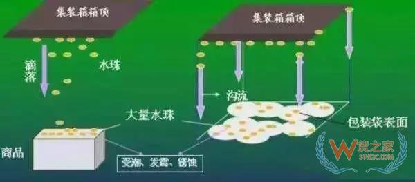 集裝箱里進水，誰的錯？如何預防應對？貨之家