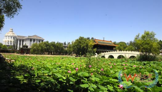 邢臺京東保稅倉,保稅區保稅倉,廣州跨境電商,跨境電商的發展,跨境電商—貨之家